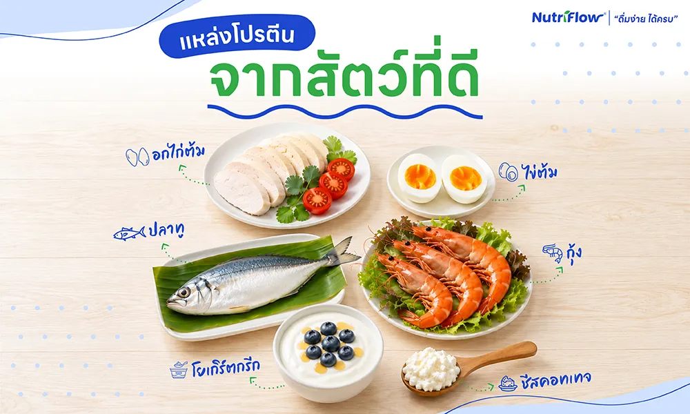 โปรตีนจากสัตว์