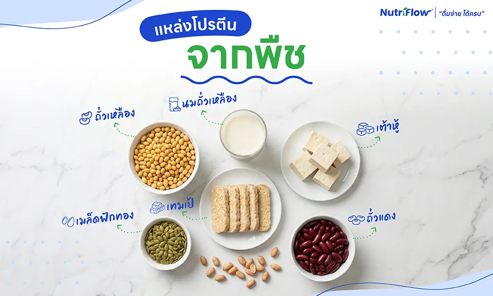 โปรตีนจากพืช