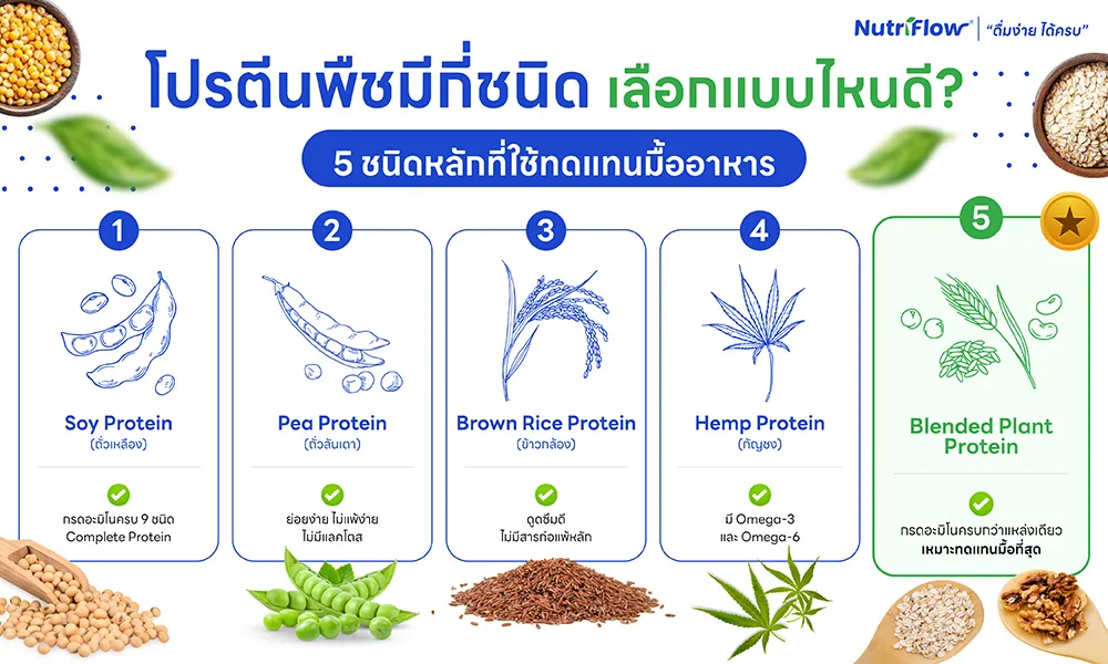 โปรตีนพืช 5 ชนิด