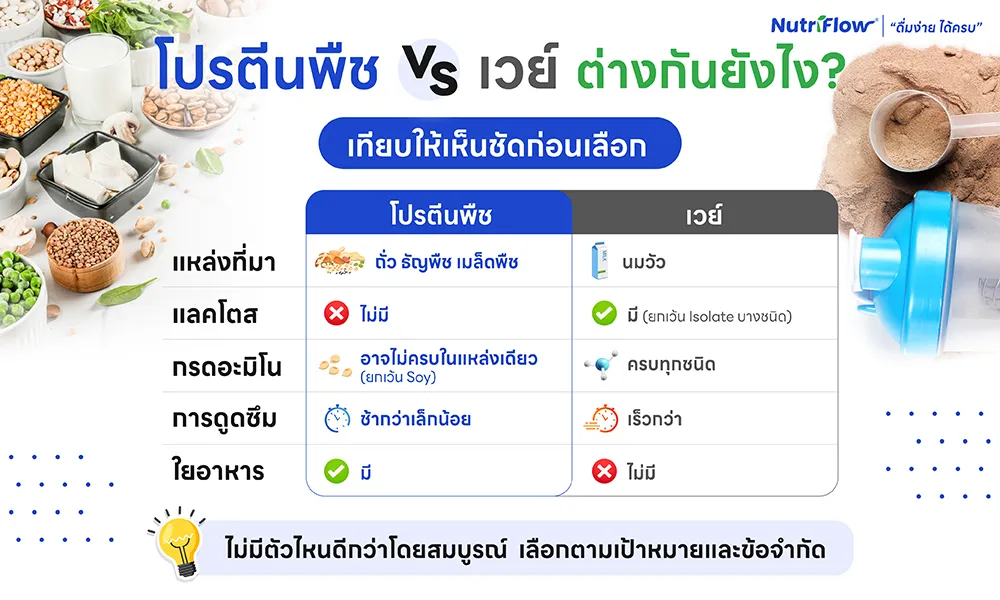 โปรตีนพืช vs เวย์