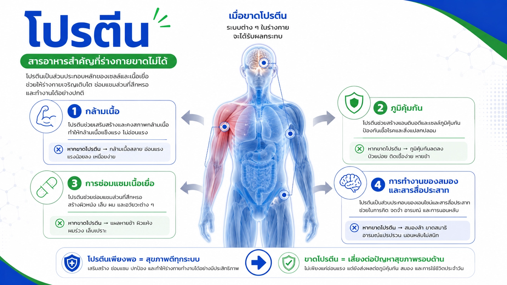 ทำไมขาดโปรตีนถึงเกิดอาการเหล่านี้