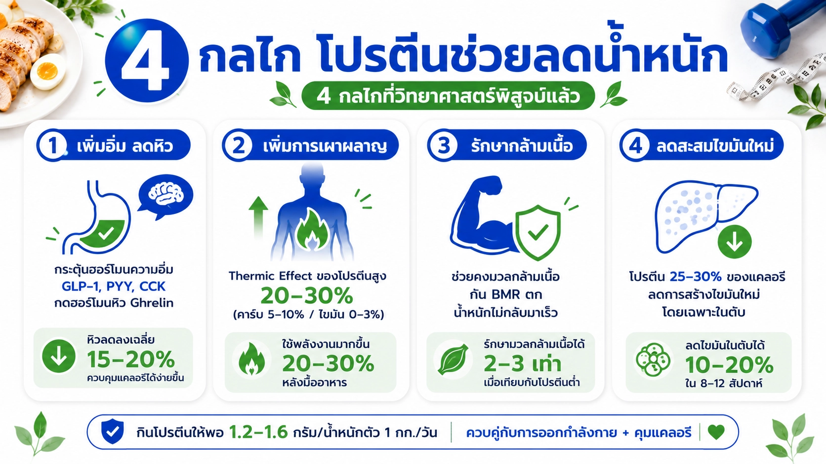 4 กลไกโปรตีนช่วยลดน้ำหนัก