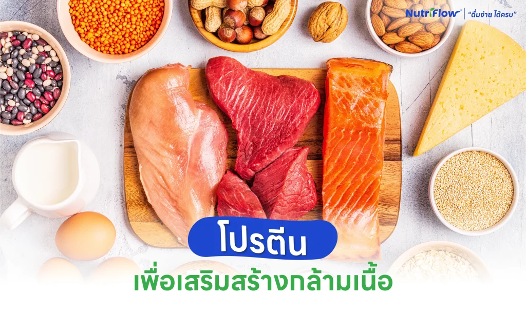 โภชนาการ 5 หมู่ ออกกำลังกาย สร้างความแข็งแรง สร้างกล้ามเนื้อ