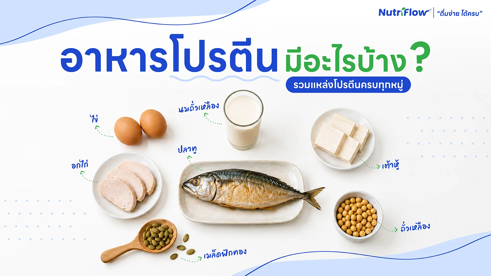 อาหารโปรตีนมีอะไรบ้าง? รวมแหล่งโปรตีนครบทุกหมู่ และทางเลือกสำหรับทุกวัย
