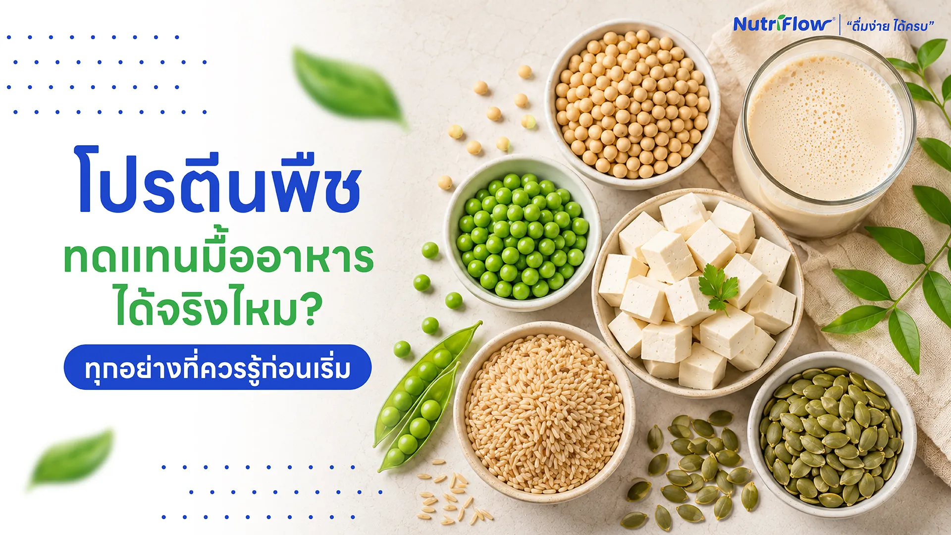 โปรตีนพืชทดแทนมื้ออาหาร ได้จริงไหม? ทุกอย่างที่ควรรู้ก่อนเริ่ม
