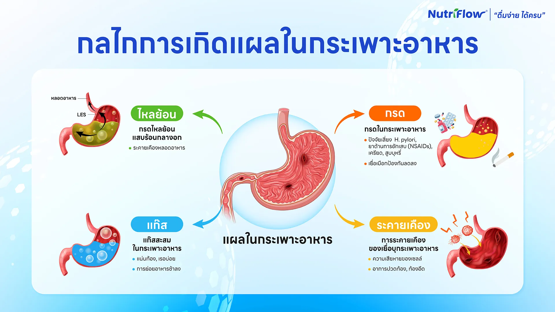 โรคกระเพาะ ห้ามกินอะไร เจาะลึกกลไกที่ควรรู้